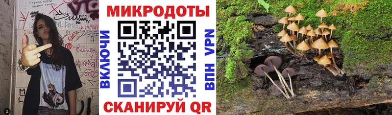 darknet наркотические препараты  Анжеро-Судженск  Галлюциногенные грибы MAGIC MUSHROOMS 