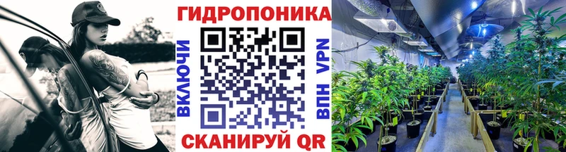 Шишки марихуана VHQ blacksprut сайт Анжеро-Судженск где можно купить